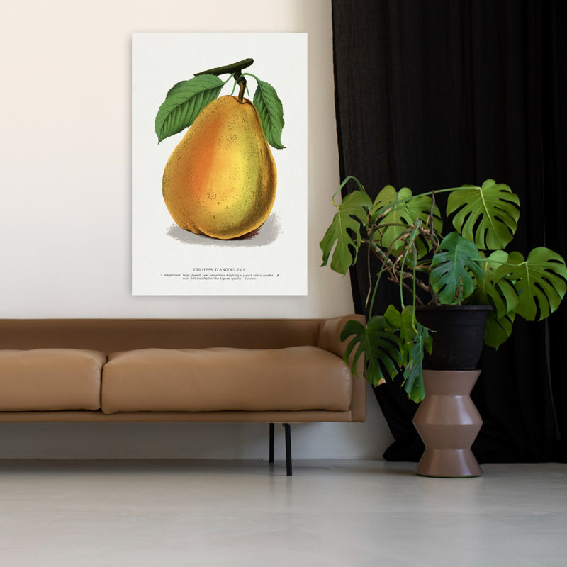 «Duchess D'angouleme Pear», art mural rétro rétro, H 48 po x l 32 po