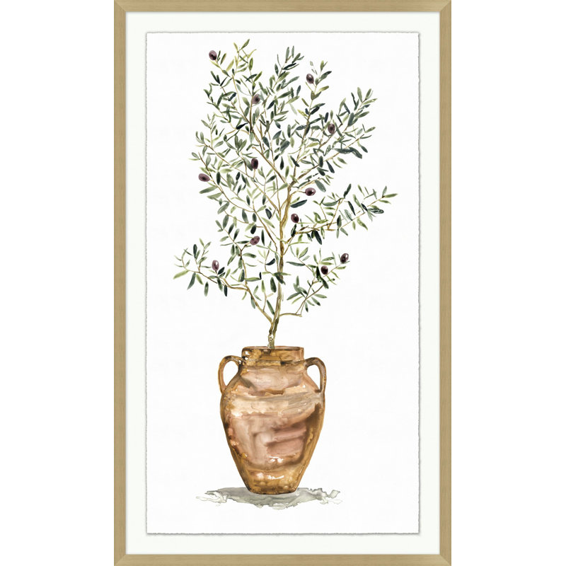 Olive en pot