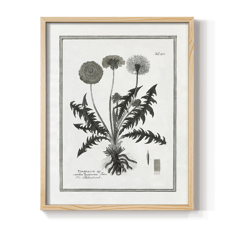 «Dandelion II», reproduction encadrée - bois massif, Naturel, H 11 po x l 9 po