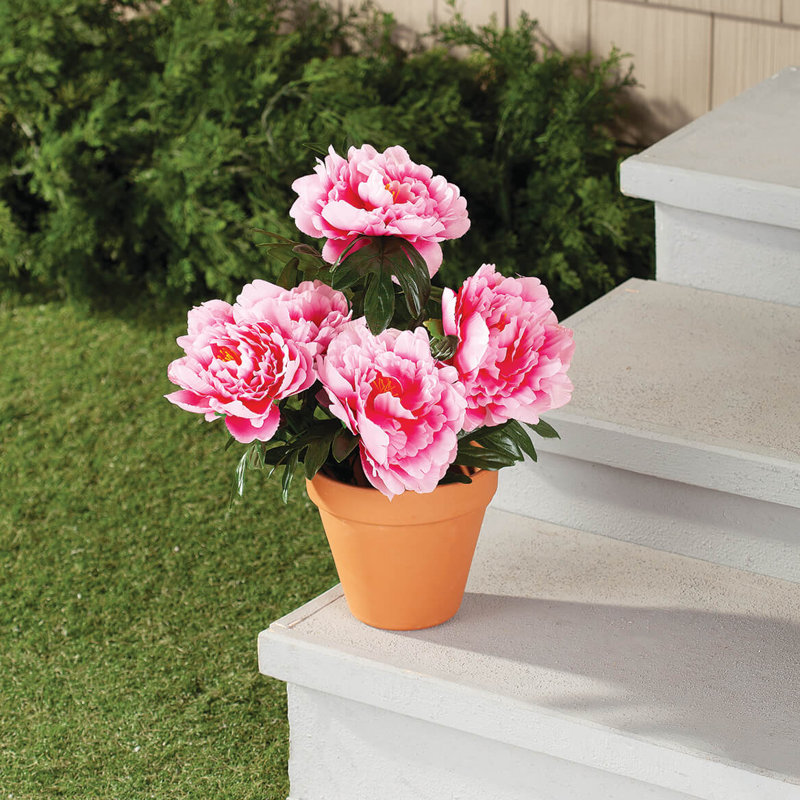 Pivoine artificielle OakRidge, Rose