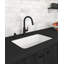 Trattoria™ Solstice Pull Down Single Handle Kitchen Faucet with Boomerang Fully Retractable Spray Technology-48543864