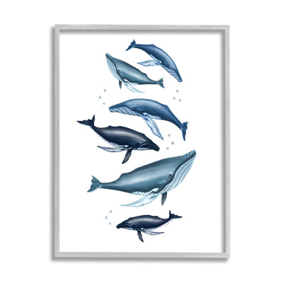Impression de cadre photo de baleines bleues variées