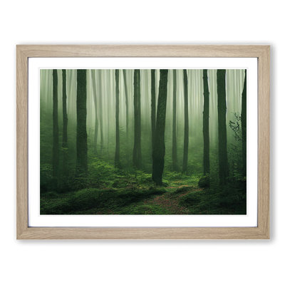 Angelical Forest - Framed Print