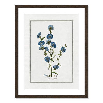 Colombe "Soft Botanical I" Print