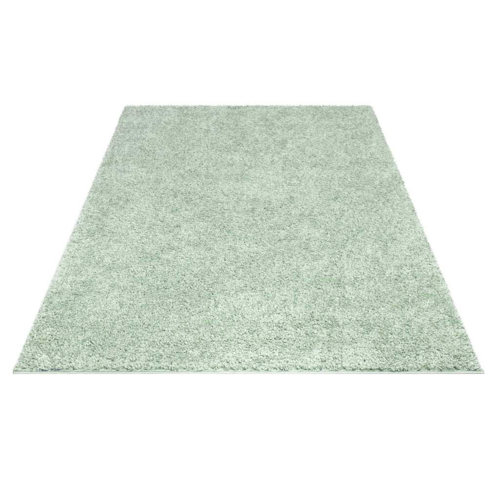 Teppich City Shaggy 500 Hochflor Einfarbig Uni Mint-Grün Weich Flauschig Wohnzimmer Appalachia