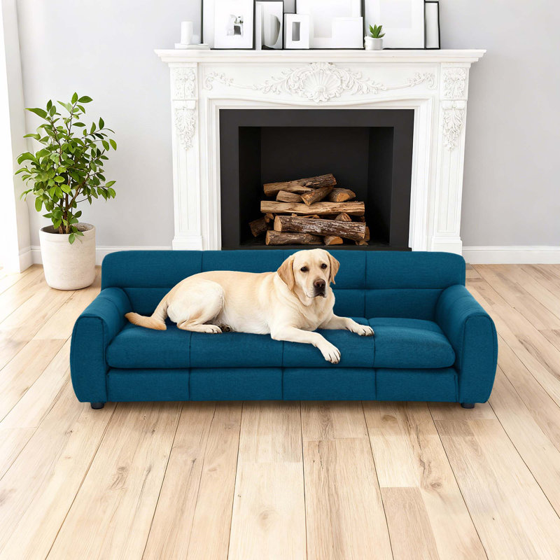 Canapé pour chien 51 po bleu, Bleu