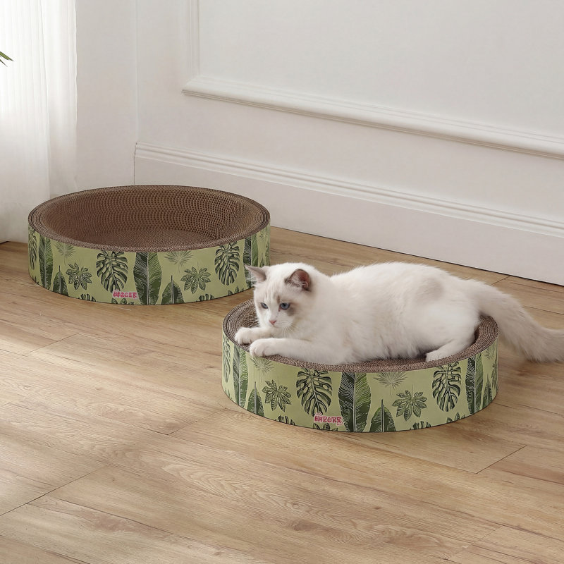 Grattoir Emilyn, Menthe / vert