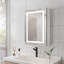 Armoire de salle de bain avec miroir mural