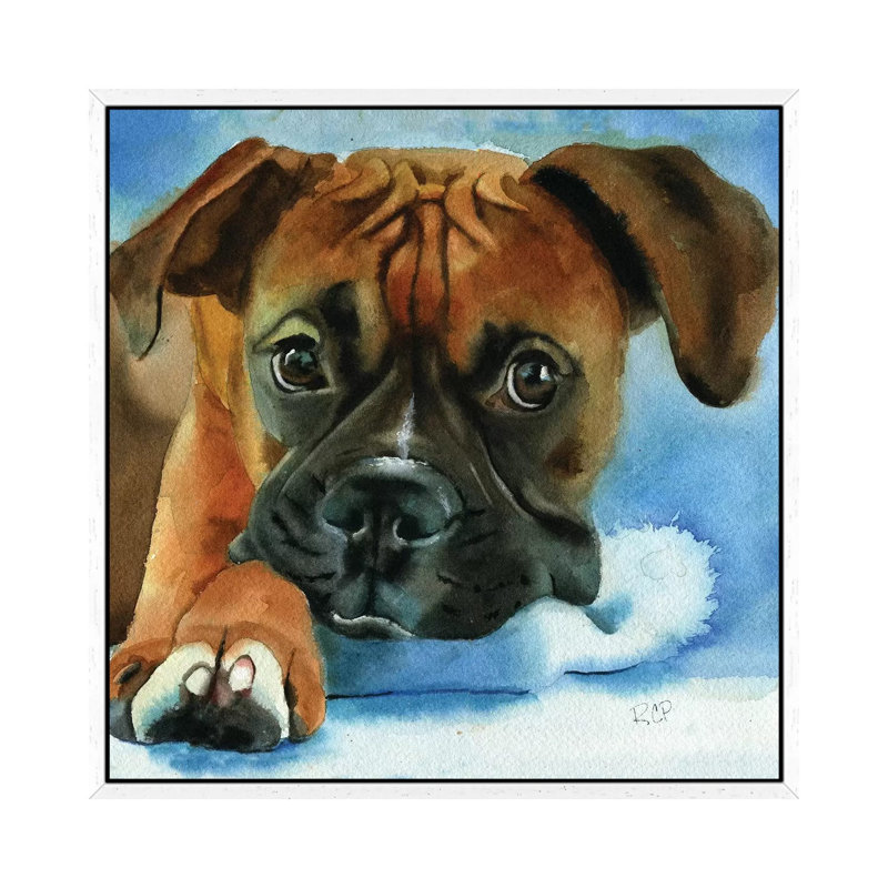 Boxer Baby by Rachel Parker - Painting on Canvas, White Framed, 66.04 cm H x 66.04 cm W