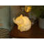 Amice Novelty Lamp