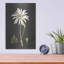 Red Barrel Studio® «Naturalist Bloom Study» par Lettered & Lined, art mural en métal-1532955816