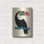 «Rainbow Toucan» par Andy Westface-293592270
