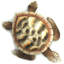 Statue tortue de mer Terese