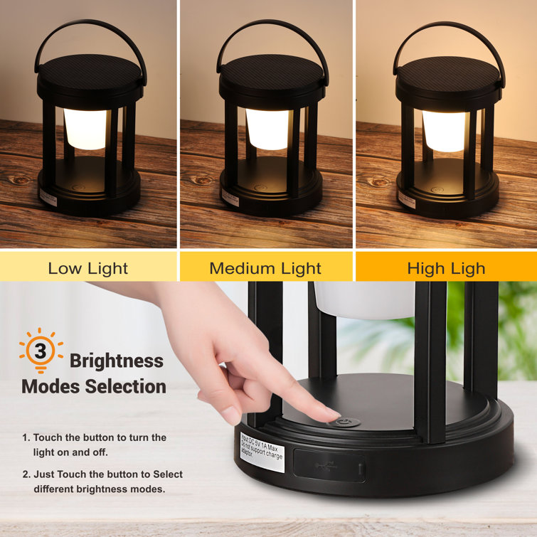 10'' Battery Powered Integrated LED Color Changing Outdoor Lantern
