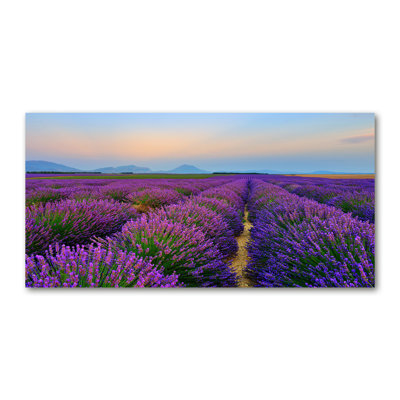 Lavender Field - Wrapped Canvas Print