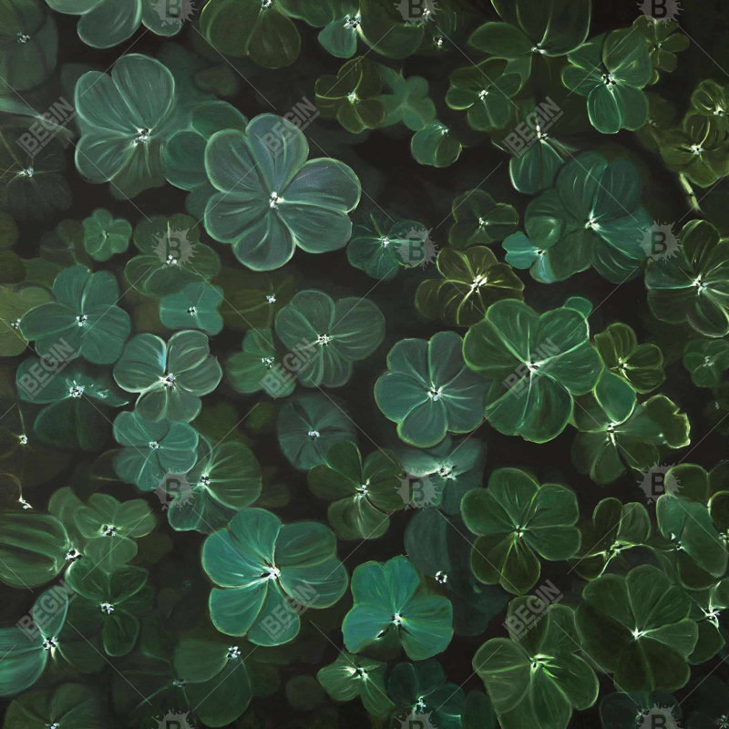 " Clovers "