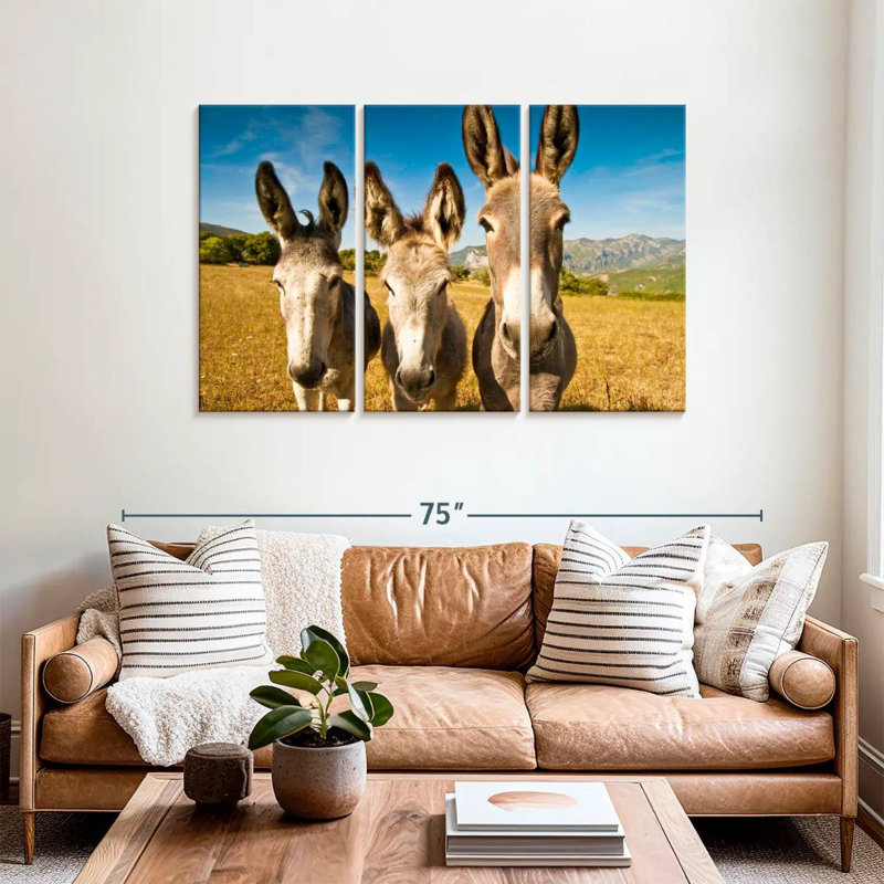 Brampt Donkey Trio, H 36 po x l 57 po