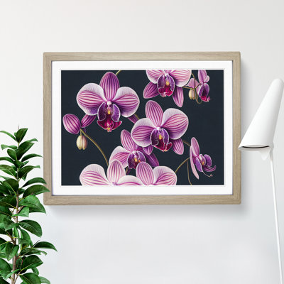 Sparkling Orchid Flowers - Framed Print