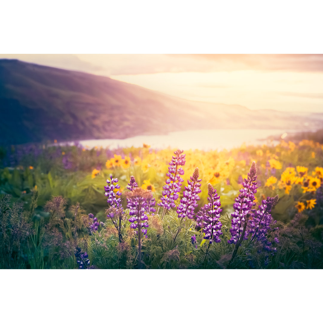 Columbia Gorge Wildflowers von Debibishop - Druck