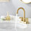 2-handle Bathroom Faucet with Drain Assembly