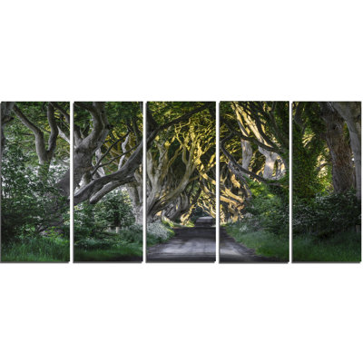 « the dark haies ireland », ensemble de 5 reproductions de photos sur toiles tendues