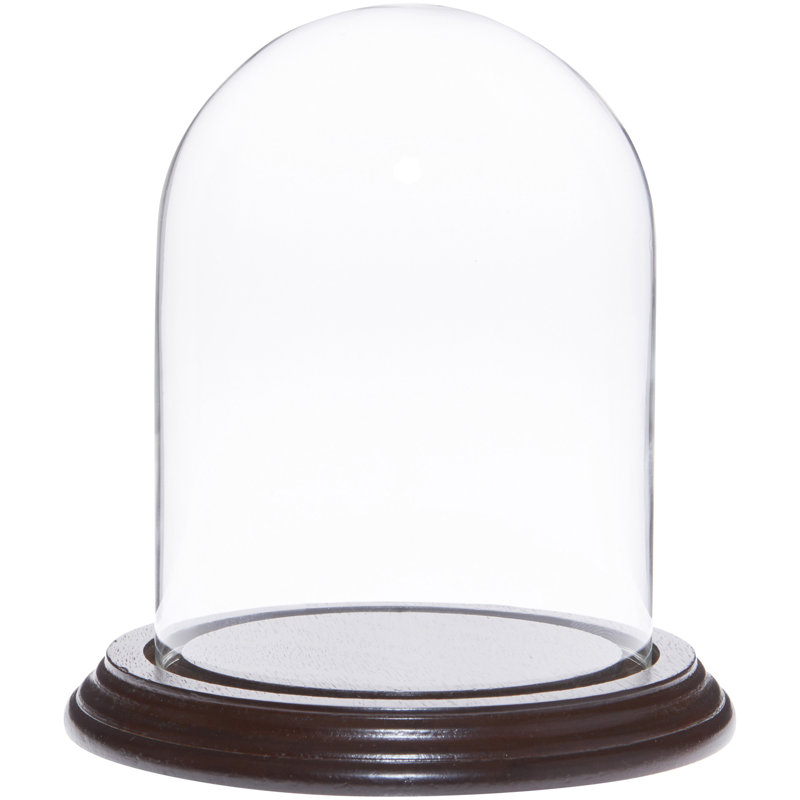 Cloche à dôme en verre 4 po x 5,25 po, Base en placage d'acajou foncé