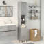 Shanetta Bathroom Cabinet