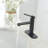 WIZ Single-Handle Single Hole Low-Arc Bathroom Faucet-107558762