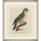 Le Perroquet 9 Painting