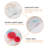 Nex Plastic Size Dividers