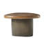 Aris Coffee Table-1743181530
