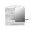 W H Medicine Cabinet Mirror