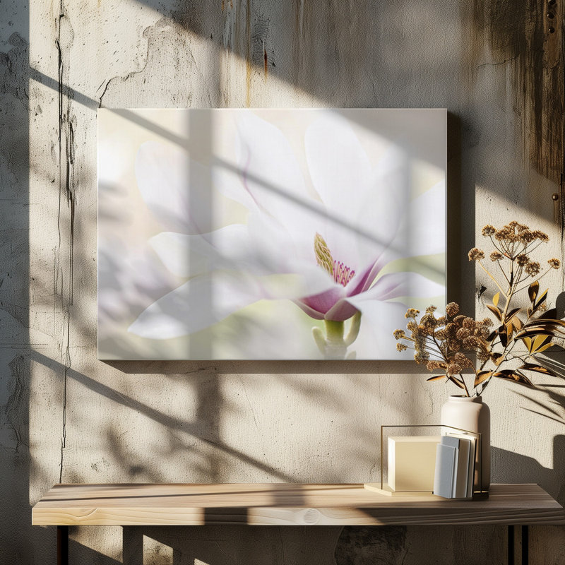 Wrapped Canvas Print, 50.8 cm H x 76.2 cm W