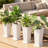 Tall Planter 2 Pairs - 4 Pieces Large Indoor and Outdoor Planters for Front Porch and Patio-542178962