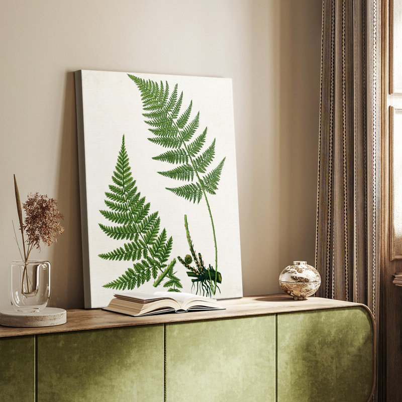 Fougère II - galerie Cavas sur mesure