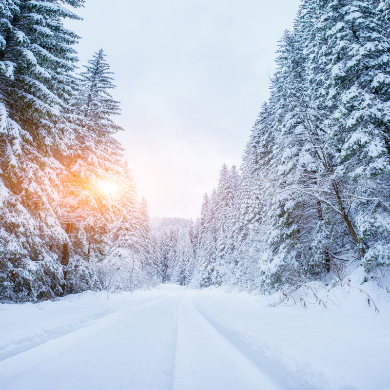 Winter Road - Wrapped Canvas Print, 30cm H x 30cm W
