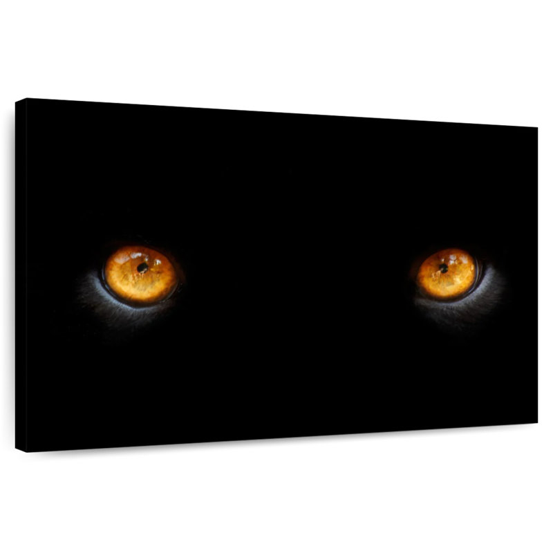 Brampt Black Panther Eyes, 8" H x 12" W