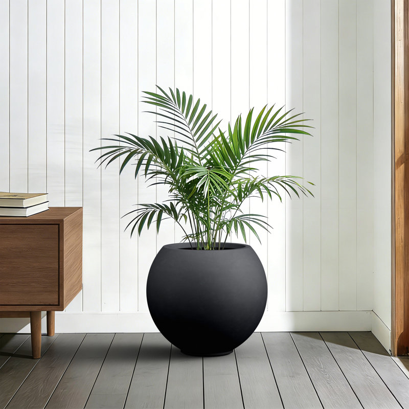 Grand pot à fleurs rond 19,5 po en béton noir mat avec intérieur amélioré avec trous de drainage pour l'intérieur et l'extérieur