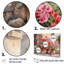Poteries Geraniums Sunset - impression-1581975199-1581975192
