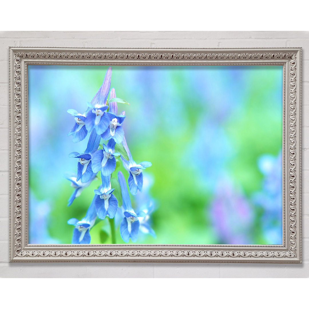 Soft Focus Kleine blaue Blumen - Einzelner Bilderrahmen Kunstdrucke