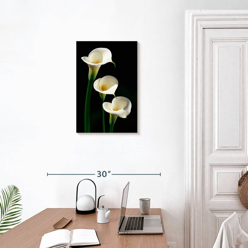 Harnek Three White Calla Lilies, 24" H x 16" W