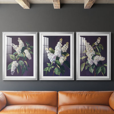 FLORAL Series CCXLIV - Impression encadrée de qualité supérieure sur mesure mat - 3 pièces