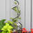 Stas 42'' H x 8'' W Iron Gothic Trellis