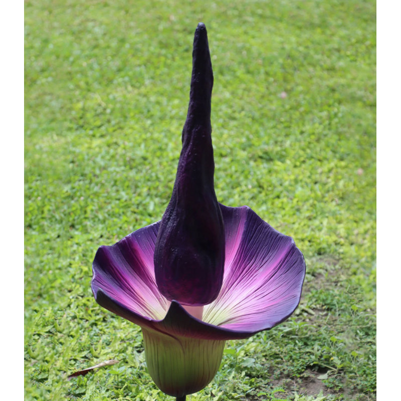 Statue mauve mauve