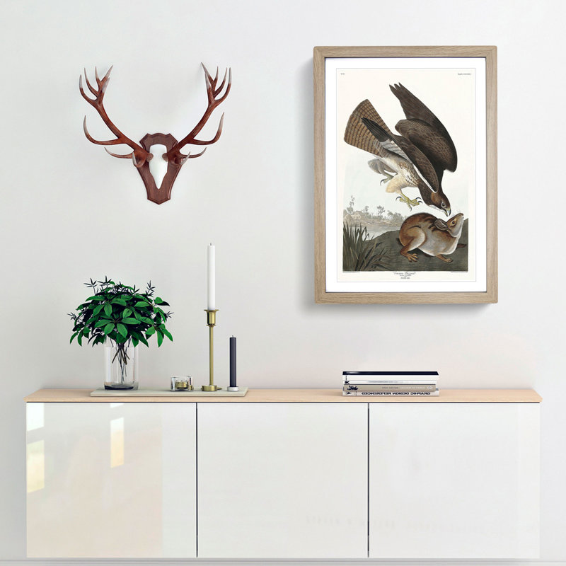 Common Buzzard & Rabbit by John Audubon - Picture Frame Painting Print, 65cm H x 48cm W x 2cm D, Oak Framed