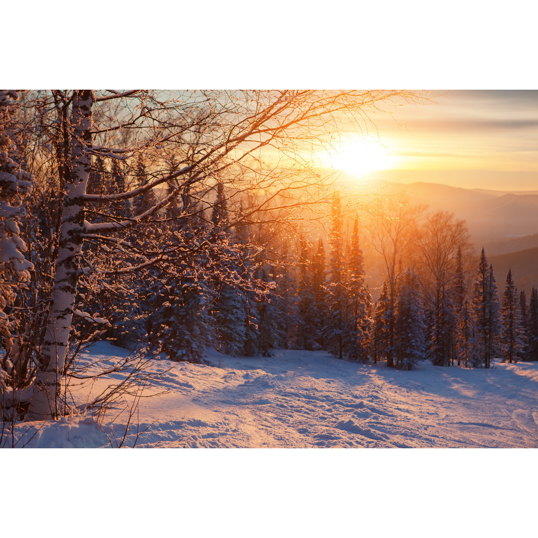 Winter Forest Sunset - Wrapped Canvas Print