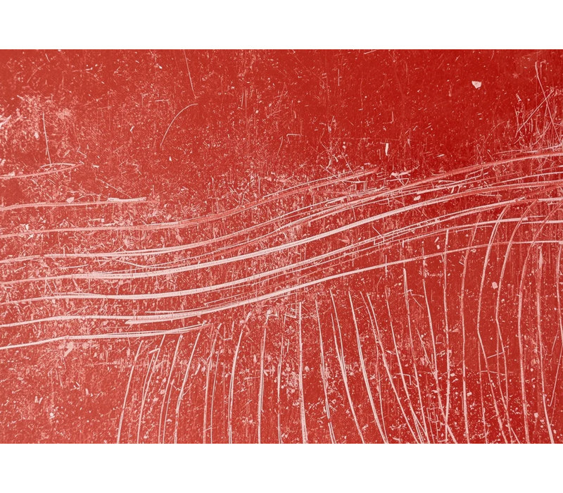 Scarlet Etchings