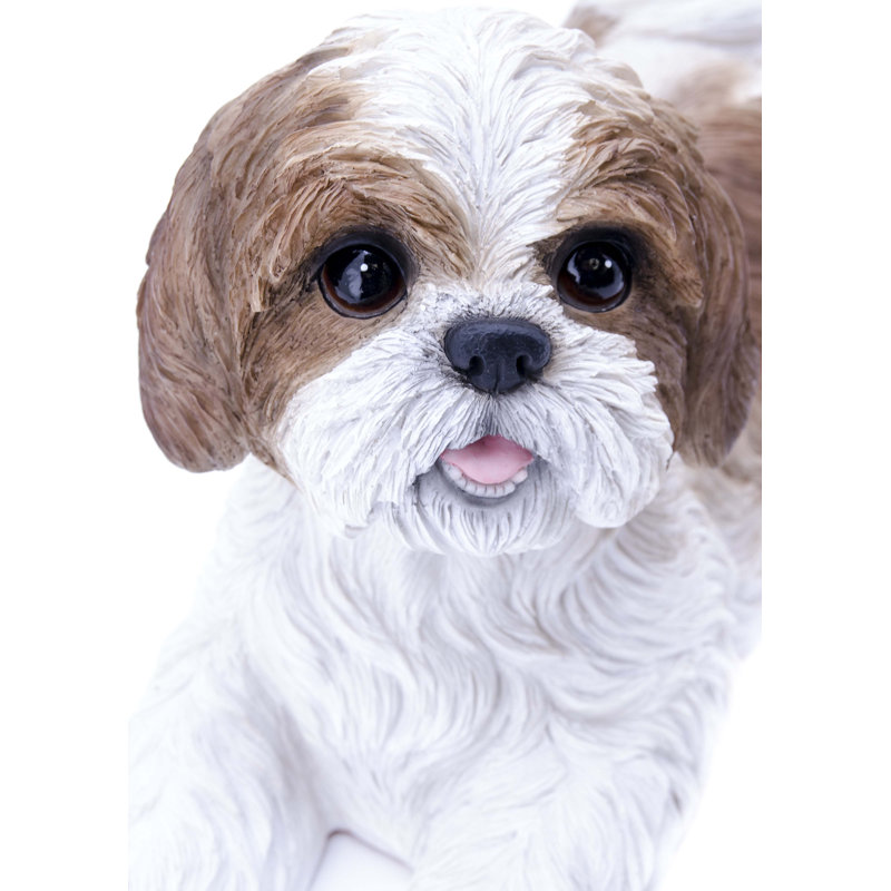 Statue d'un shih tzu allongé, Brun / Blanc