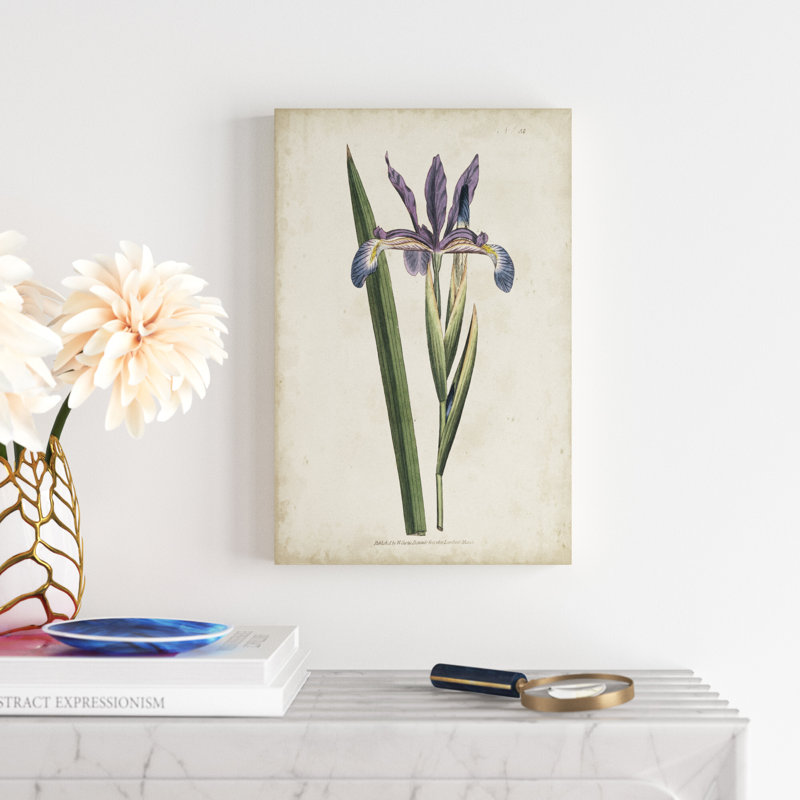 Lavender Curtis Botanicals III - Painting Print, Wrapped Canvas, 46cm H x 30cm W