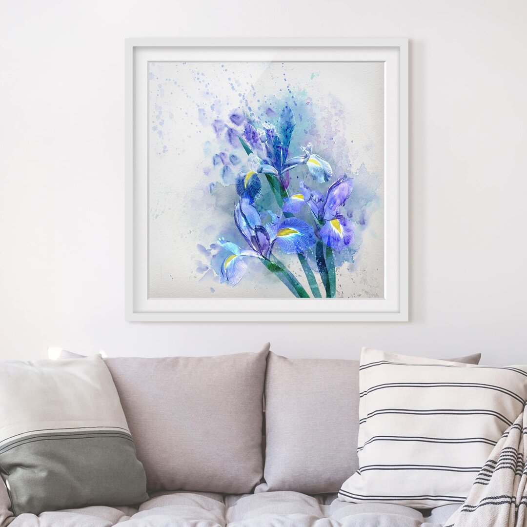 Gerahmtes Papierbild Aquarell Blumen Iris